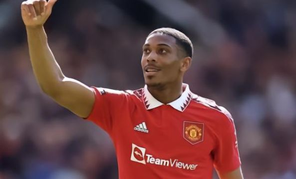 展现了他们 展现了他们